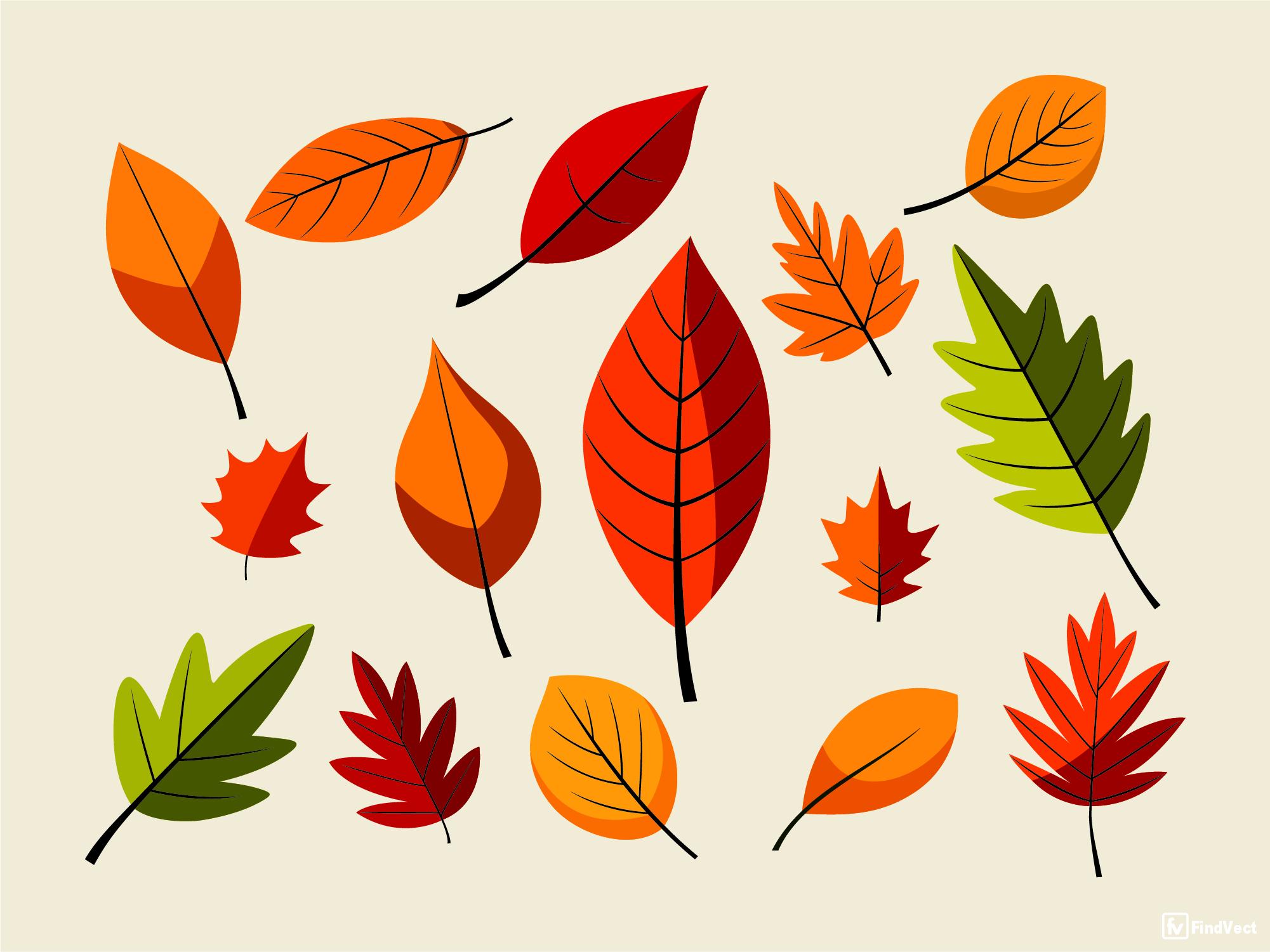 Thanksgiving Leaves, Collections